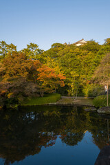 Fototapeta premium The white roof of Himeji Castle peeks above dense green and orange autumn trees, reflected in a still pond under clear blue sky in Koko-en Garden. Warm sunlight highlights the seasonal foliage and