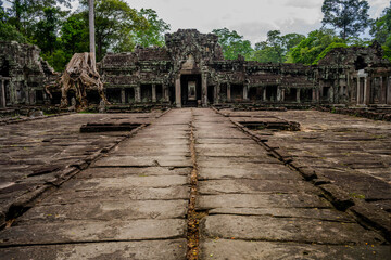 Obraz premium Ancient Ta Prohm temple ruins with tree roots in Angkor