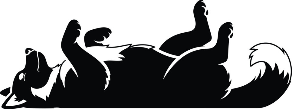 Happy dog playful pet resting. Fluffy dog lying down with one paws raised.