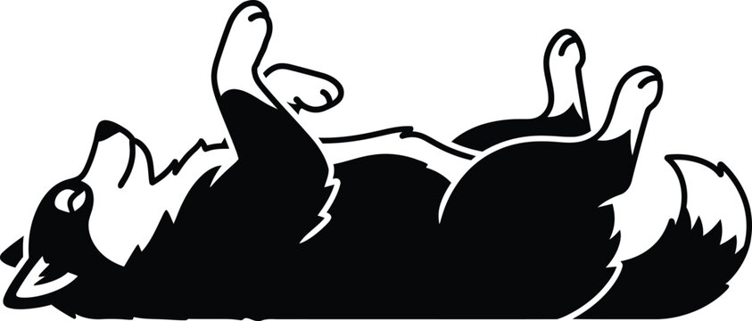 Happy dog playful pet resting. Fluffy dog lying down with one paws raised.