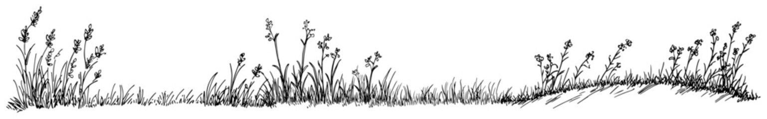Wild meadow grass and small flowers growing in a panoramic hand drawn landscape © Kaz