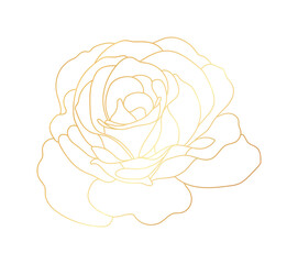Rose flower gold line art vector.