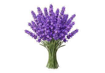 Obraz premium Purple lavender flowers bouquet isolated on transparent background
