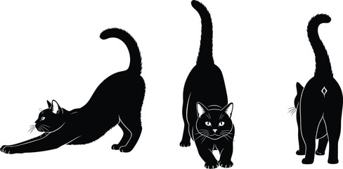 Black cat silhouettes stretching, walking forward, and rear view poses, domestic feline behavior collection, elegant pet animal vector illustration isolated on white background © Rasma