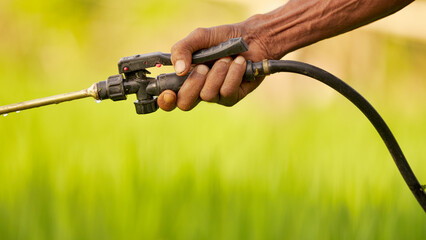 close-up of farmer hand spraying pesticides on field with hand sprayer in indonesia, southeast asia © Spice Footage