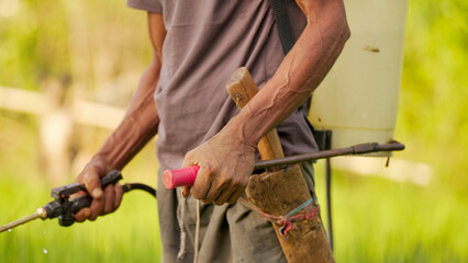 close-up of farmer spraying pesticides on field with hand sprayer, indonesia, southeast asia © Spice Footage