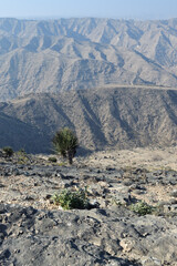  Dhofar mountains,  Salalah, Oman