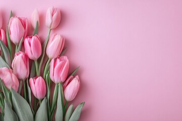 Obraz premium Spring background. Pink tulips with green stems, leaves on plain color backdrop. Flower pattern banner. Blossom abstract texture. Beautiful wallpaper. Flat lay. Floral bunch. Women Day, 8th March 8
