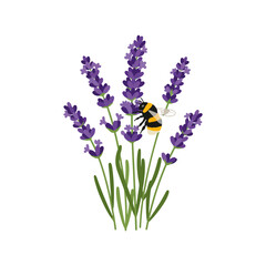 Lavender Flowers and Bee Flat Illustration Vector