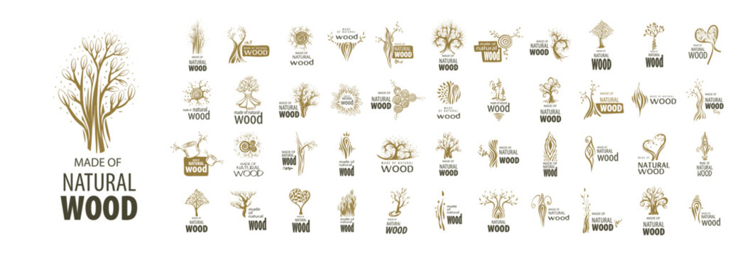 A set of unusual hand-drawn vector logos for the production of wood products