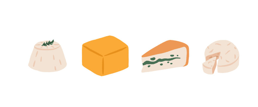 Cartoon cheese types. Italian swiss or goat cheeses type, cheddar mozzarella brie gouda parmesan french curd milk dairy food slices breakfast snack, set neat vector illustration original artwork