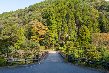 Fototapeta premium A paved bridge extends over a green valley, surrounded by dense coniferous trees and early autumn foliage under clear daylight. The scene feels inviting and tranquil, with natural textures and vibrant