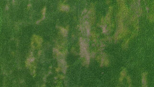 Drone Aerial View Labuh Banting Coastal Grassland Scenery