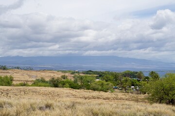 Obraz premium Landscape of grasslands, trees, and clouds on the Big Island of Hawaii
