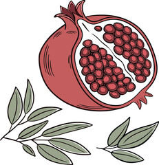 Stylized Pomegranate Illustration with Seeds and Leaves