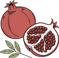 Stylized Pomegranate Illustration with Seeds and Leaves