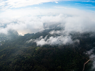 Fototapeta premium Aerial view rainforest trees ecology with healthy environment concept and summer background