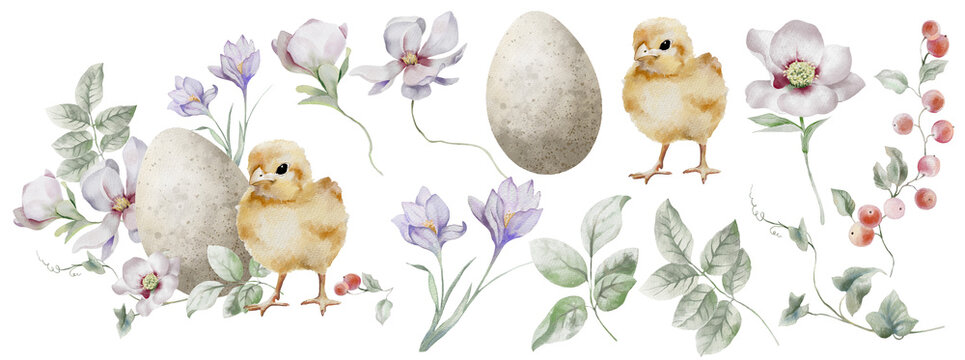 Watercolor Easter composition with chickens, eggs, and flowers.
