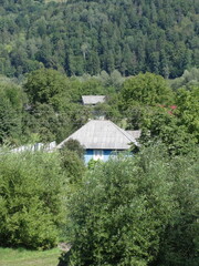 Rural house surrounded by lush green trees in forested valley