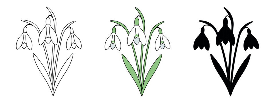 A trio of snowdrop flowers presented in three distinct graphic styles: linear outline, flat color, and solid black silhouette