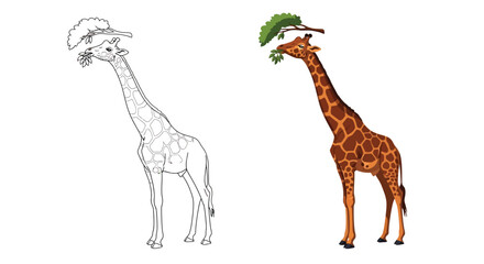 Adorable cartoon giraffe with long neck gracefully feeding on green leaves from an acacia tree branch illustrating wildlife concept design