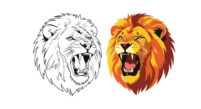 Detailed vector illustration showcasing a comparison between a fierce roaring lion head outline drawing and a vibrant full color graphic design portrait.
