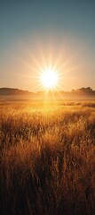 Fototapeta premium Sunlight golden hour glow across serene features representing vitality hope productivity surge and harsh climate exposure copy space solar inspiration theme vibrant Fusion open field backdrop. 