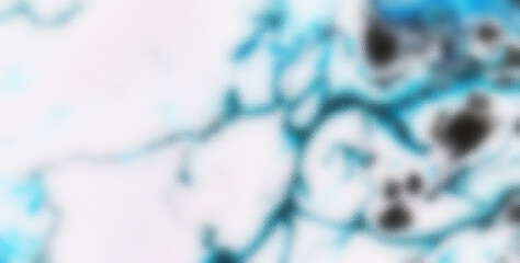 Fototapeta premium Fluid Brush Strokes Forming Bright Liquid Backdrop 