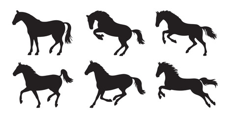Six dynamic horse silhouettes showing movement galloping standing rearing and jumping isolated on white background © Farik