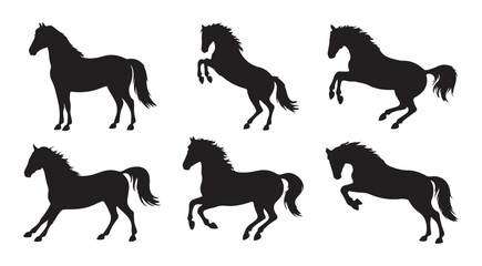 Six horse silhouettes showing movement galloping standing rearing and jumping isolated on white background © Farik