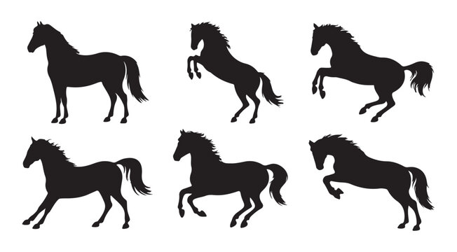 Six horse silhouettes showing movement galloping standing rearing and jumping isolated on white background