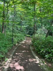 Obraz premium scenery in Karuizawa, Nagano, Japan
