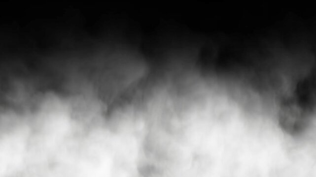 Foggy Atmosphere With Dark Gradient Background For Mood.