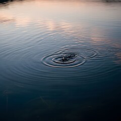 Concentric Ripples on Calm Water Surface