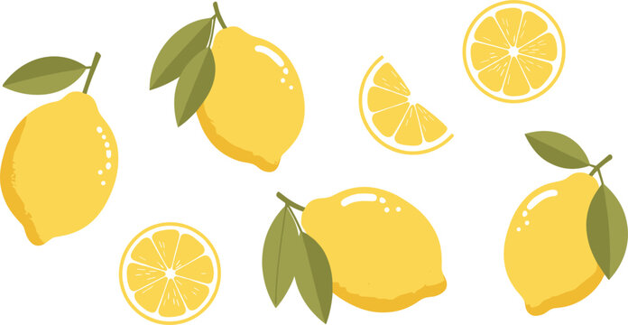 Set of fresh yellow lemons with green leaves featuring whole fruits and sliced citrus sections for food design and summer themes vector.