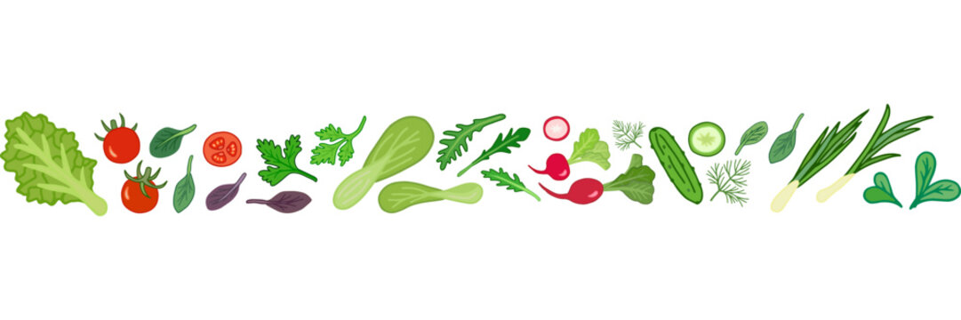 Vector border of vegetables and greens. Healthy lifestyle concept. Основные RGB
