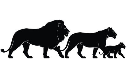 Lion Family Silhouettes Pride Cubs © Ishara sandeepa