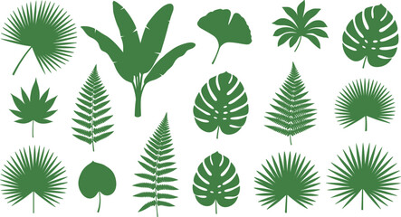 Tropical leaf vector silhouette set with monstera palm fern and banana leaves for jungle themed summer branding and minimalist nature wall art decor © Sukhi