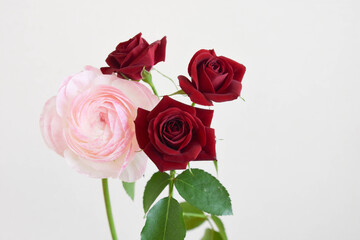 Fototapeta premium 薔薇とラナンキュラス