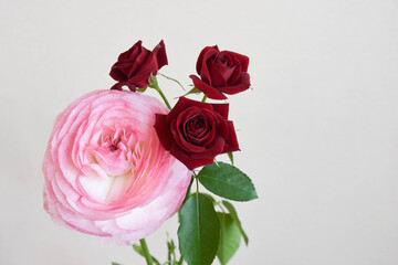 薔薇とラナンキュラス