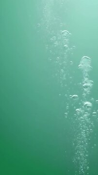 繊細にきらめく炭酸バブルが、やわらかなミスト効果とともに上昇する抽象背景です。
アクアグリーンのグラデーションが、爽快で清潔感ある印象を演出します。
さりげない上向きの動きとミニマル構成が、軽やかな空気感を生み出します。