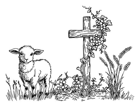 Lamb of god standing near cross with grapes and wheat sketch