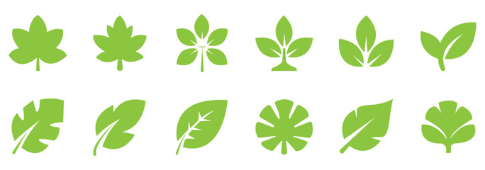 Fototapeta premium Set of green leaf icons. Leaves of trees and plants. Leaves icon. Collection green leaf. Elements design for natural, eco, vegan, bio labels. eps 10