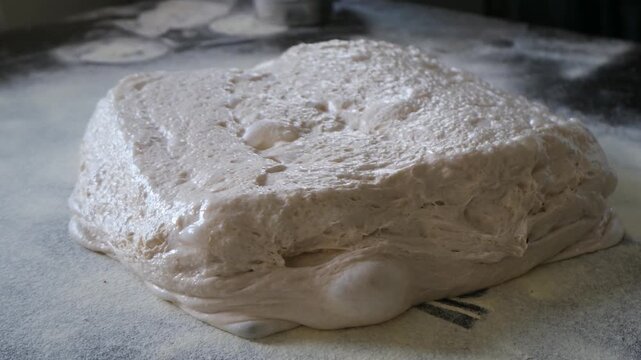 The dough is placed on the table from the box