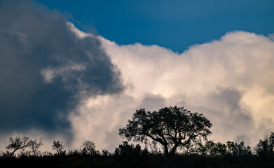 Nuvens de tempestade 