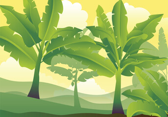 Banana farming field and banana green trees vector illustration © Thakur Vijay Singh