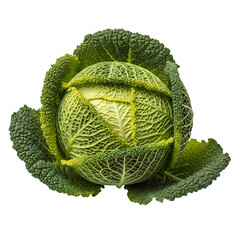 Savoy cabbage with textured green leaves