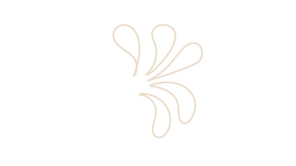 Minimalist Beige Outline Floral Petal Burst Vector Illustration