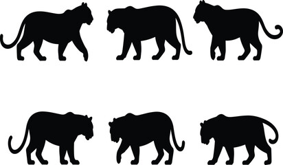 Set of wild tiger silhouettes, walking and standing feline predators isolated on white background, animal vector illustration © Ms Sayed