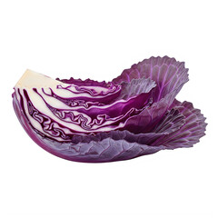Quarter of a red cabbage with vibrant purple leaves